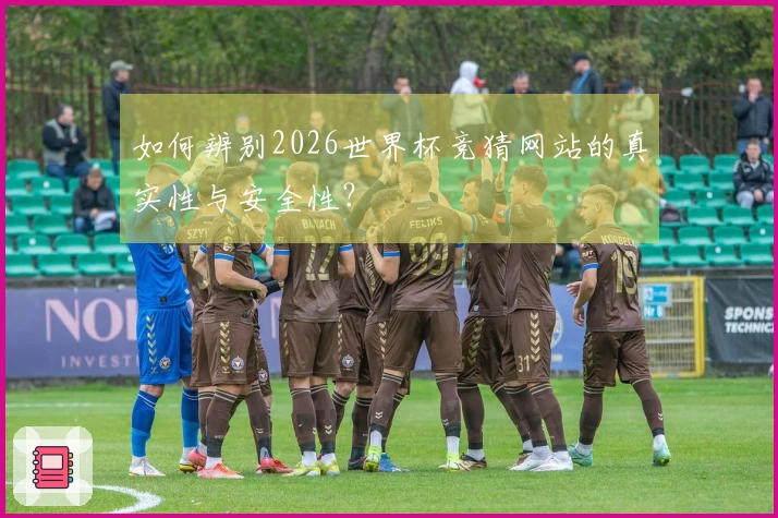 如何辨别2026世界杯竞猜网站的真实性与安全性？