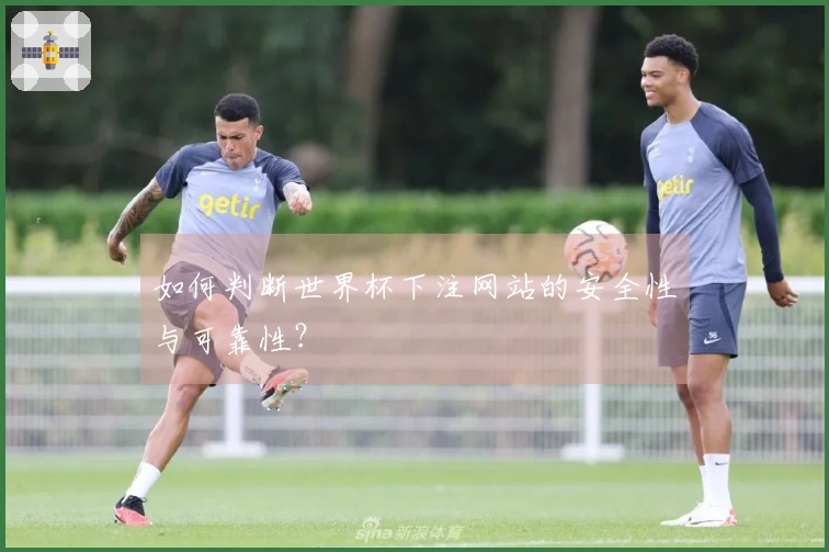如何判断世界杯下注网站的安全性与可靠性？