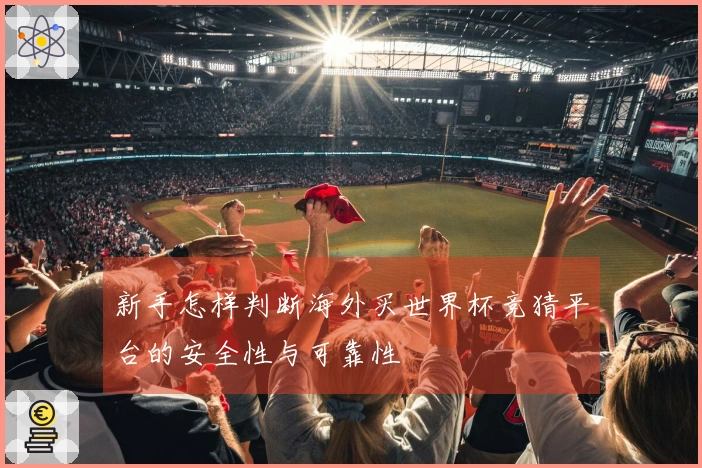 新手怎样判断海外买世界杯竞猜平台的安全性与可靠性