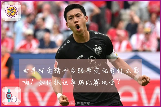 世界杯竞猜平台赔率变化有什么影响？如何抓住每场比赛机会？