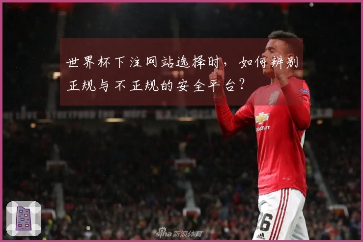 世界杯下注网站选择时，如何辨别正规与不正规的安全平台？