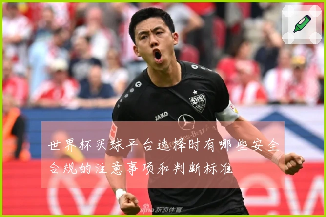 世界杯买球平台选择时有哪些安全合规的注意事项和判断标准