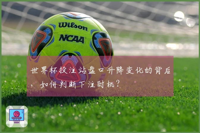 世界杯投注站盘口升降变化的背后，如何判断下注时机？