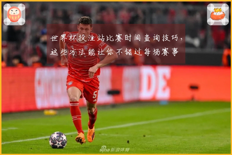 世界杯投注站比赛时间查询技巧，这些方法能让你不错过每场赛事