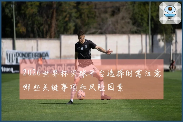 2026世界杯买球平台选择时需注意哪些关键事项和风险因素