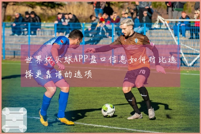 世界杯买球APP盘口信息如何对比选择更靠谱的选项