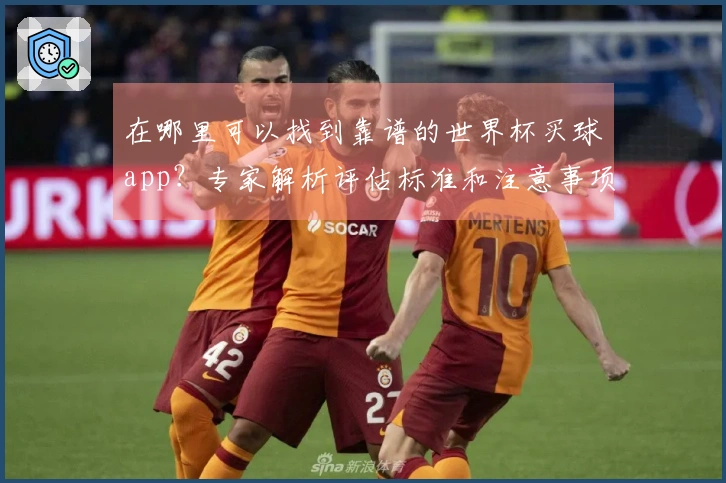 在哪里可以找到靠谱的世界杯买球app？专家解析评估标准和注意事项