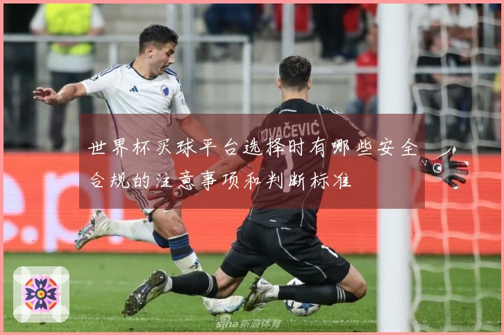 世界杯买球平台选择时有哪些安全合规的注意事项和判断标准