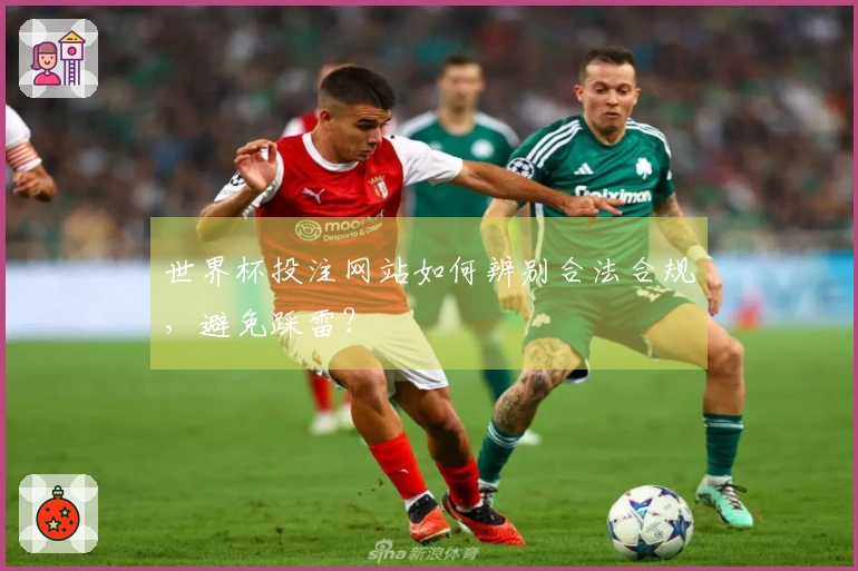 世界杯投注网站如何辨别合法合规，避免踩雷？