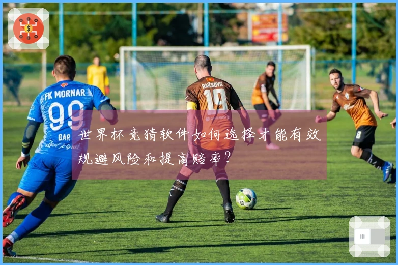 世界杯竞猜软件如何选择才能有效规避风险和提高赔率？