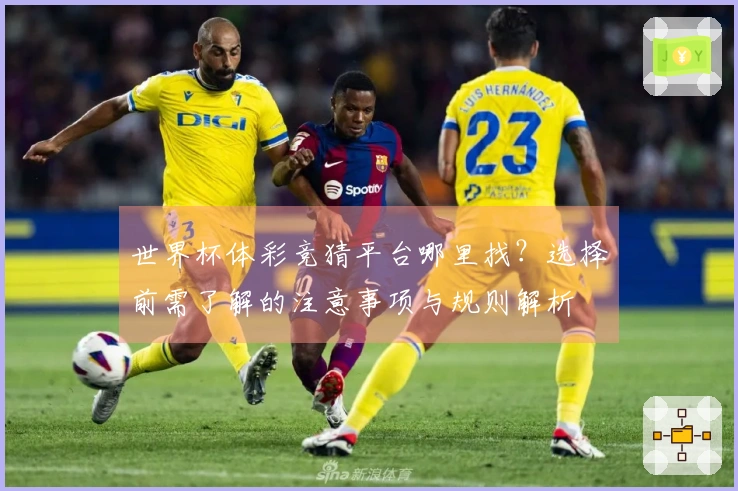 世界杯体彩竞猜平台哪里找？选择前需了解的注意事项与规则解析