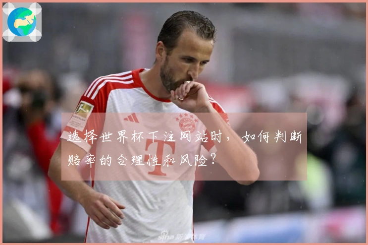 选择世界杯下注网站时，如何判断赔率的合理性和风险？