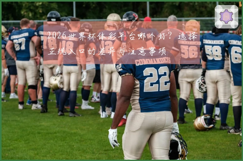 2026世界杯体彩平台哪个好？选择正规入口的差异与注意事项