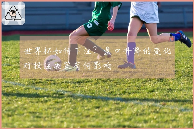 世界杯如何下注？盘口升降的变化对投注决策有何影响